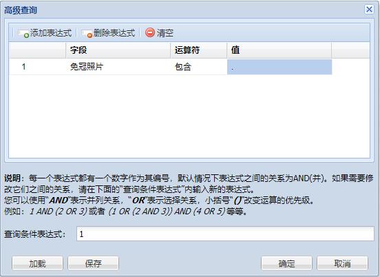 人力资源信息管理系统-后台配置-高级查询3