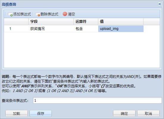 人力资源信息管理系统-后台配置-高级查询4